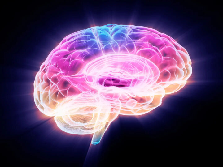 Breakthrough discovery reveals protein behind brain aging,offers potential to reverse memory decline